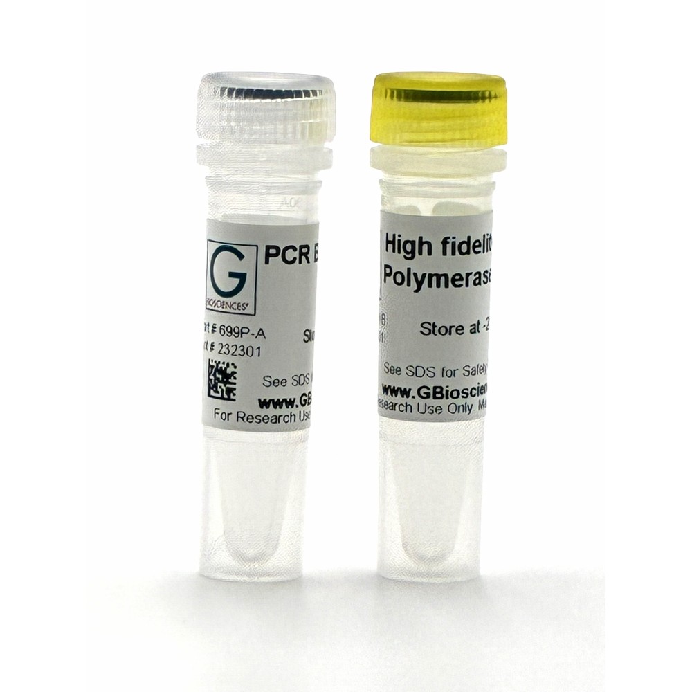 High fidelity DNA Polymerase for error free PCR and cloning