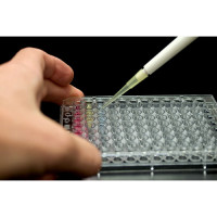 nunc immobilizer glutathione plates thermo fisher,,436032,Nunc-ImmobilizerTM 250 l/well Sigma-Aldrich Nunc MicroWell 96 well